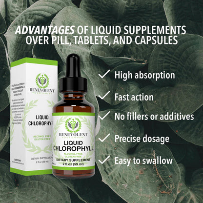 Benevolent Nourishment, Liquid Chlorophyll- Alcohol Free-2 fl oz