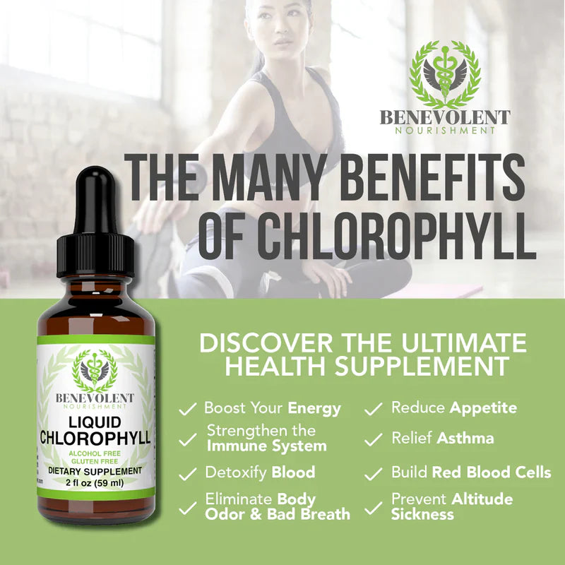 Benevolent Nourishment, Liquid Chlorophyll- Alcohol Free-2 fl oz