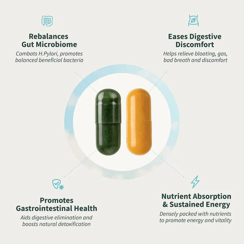Gut Health Bundle