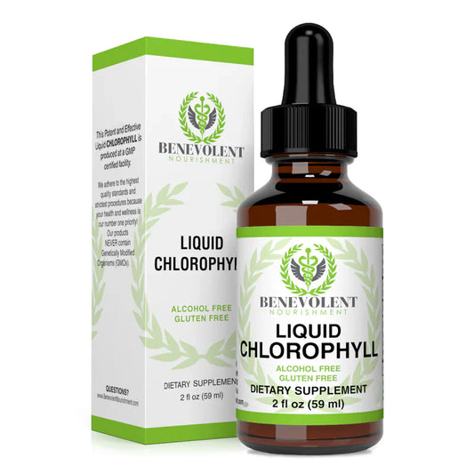 Benevolent Nourishment, Liquid Chlorophyll- Alcohol Free-2 fl oz