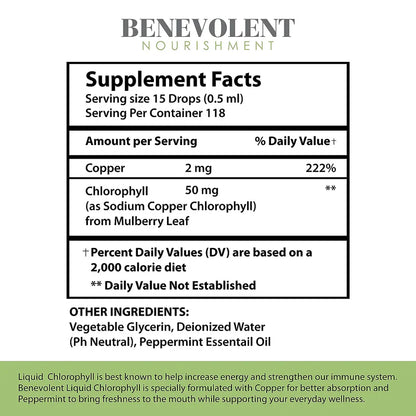 Benevolent Nourishment, Liquid Chlorophyll- Alcohol Free-2 fl oz