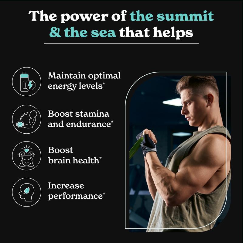 Sea Moss Capsules – High Potency Supplement for Strength & Endurance | 120 Capsules