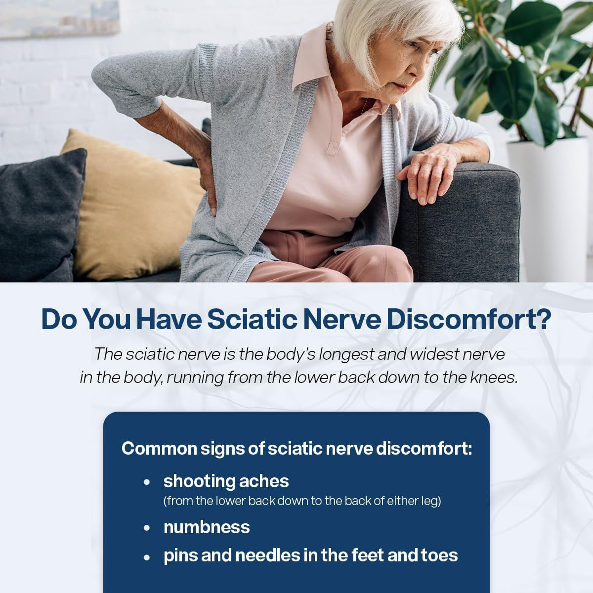 SciatiEase Labs Sciatic Ease Nerve Formula - Nervous System Health, Antioxidant