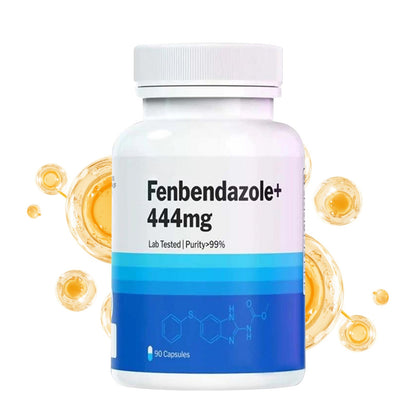 Highly Concentrated Dietary Supplement 444mg – 90 Capsules | Daily Wellness & Immune Support